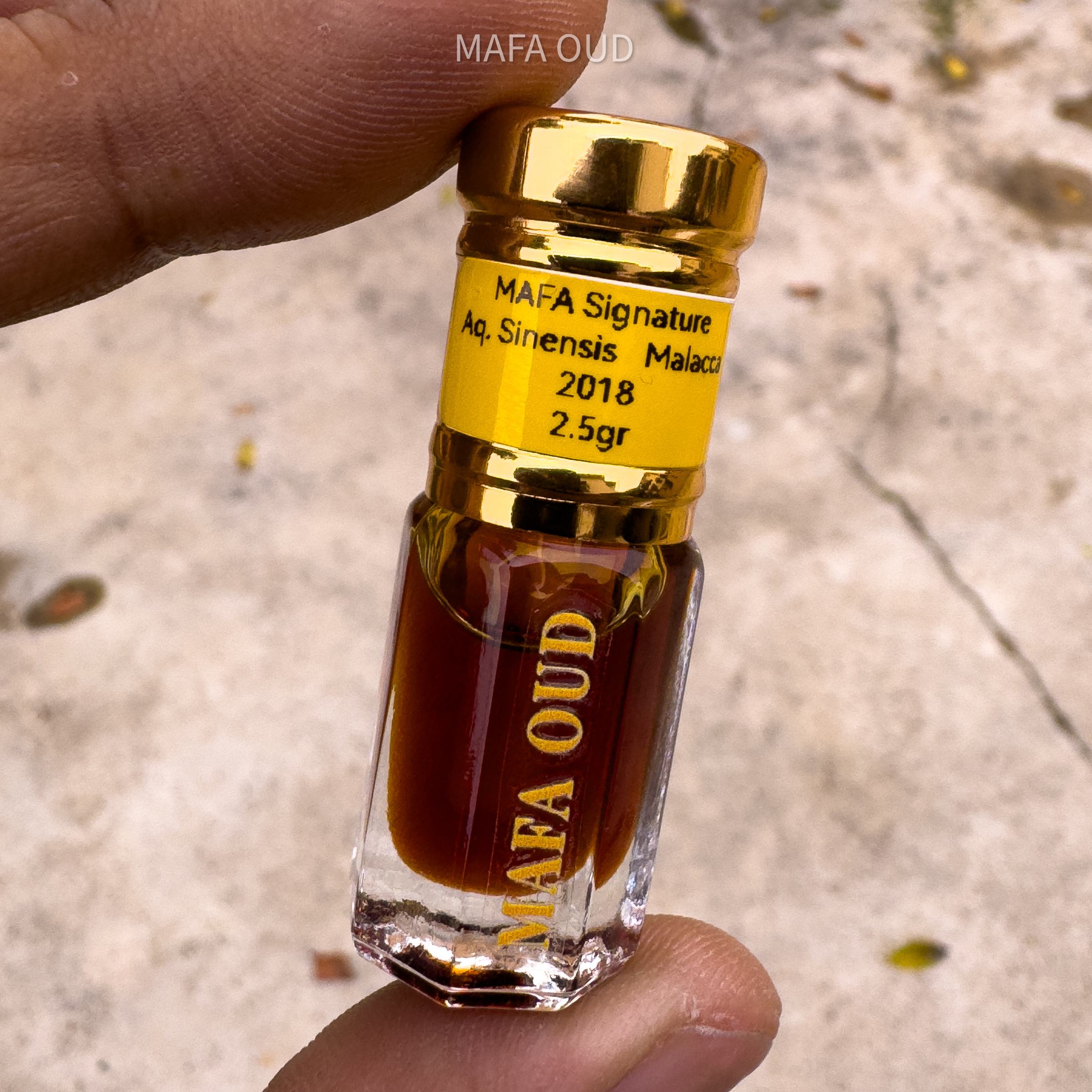 image_31FF8E4F-D2EF-4AA2-8F65-12541B7BAFD3_1751531673