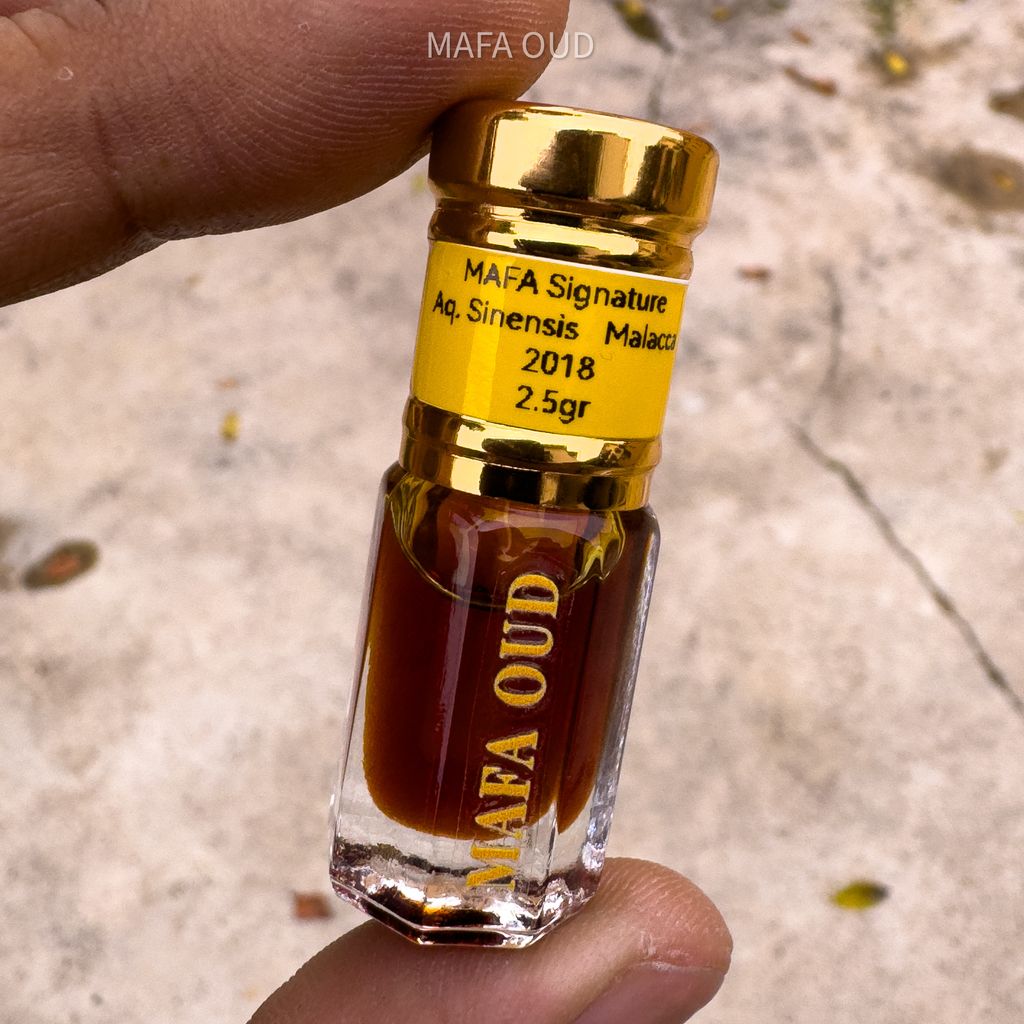 image_31FF8E4F-D2EF-4AA2-8F65-12541B7BAFD3_1751531673