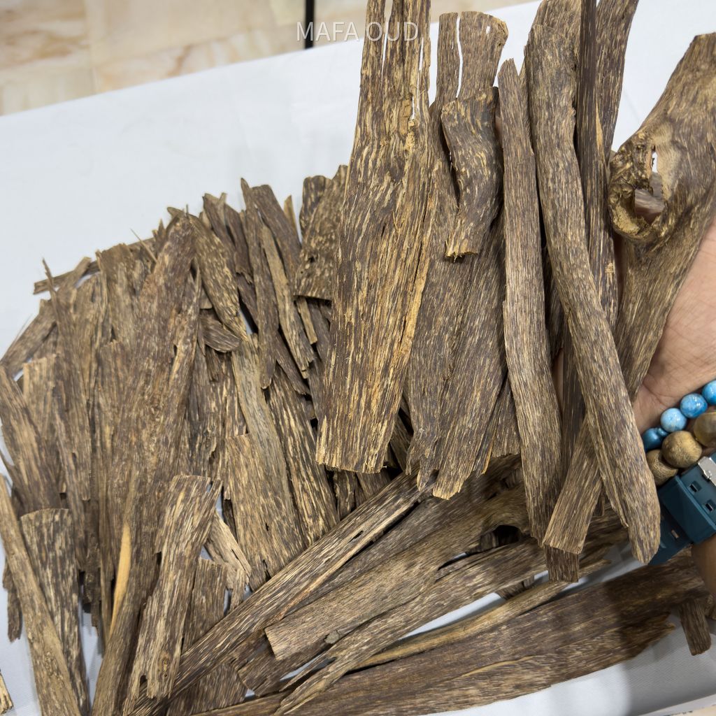 image_2FBA48D9-B5C2-4DFA-8E40-D6719C36664D_1753945685