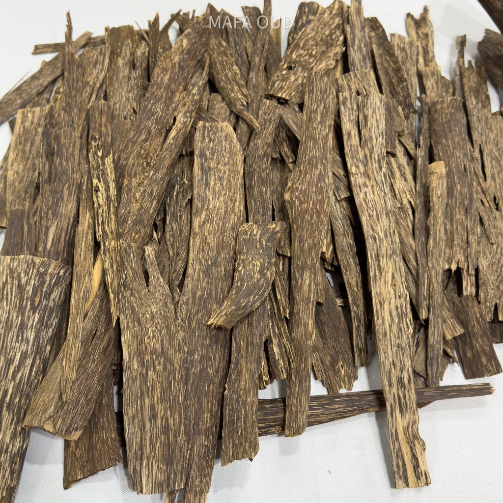 image_78C4E466-7B58-4485-BD25-EE662E0C52E9_1753945685