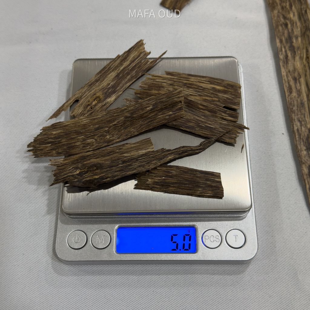 image_B789DC86-0E8E-4A29-BE03-B8DB7209A932_1753945685