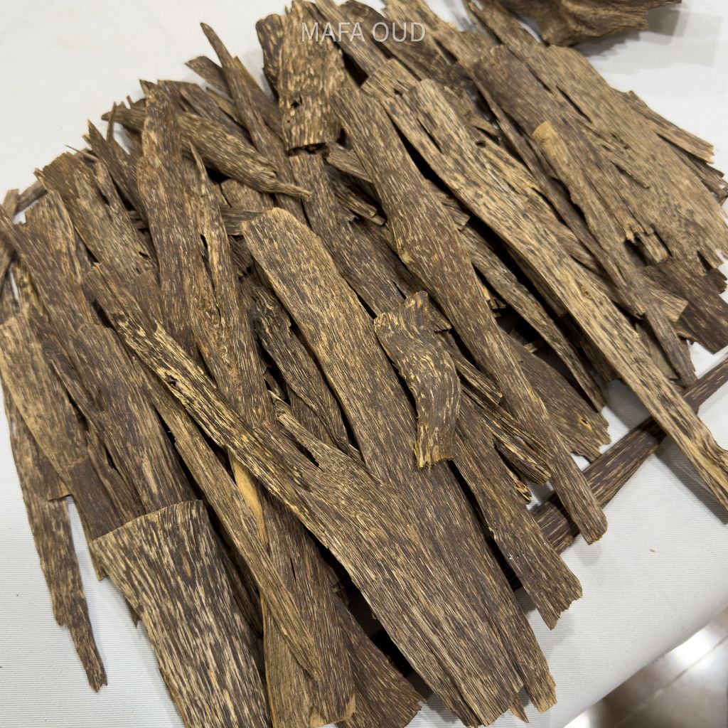 image_FF4C6B3D-CEC6-498B-88EA-2E3C285069D4_1753945685