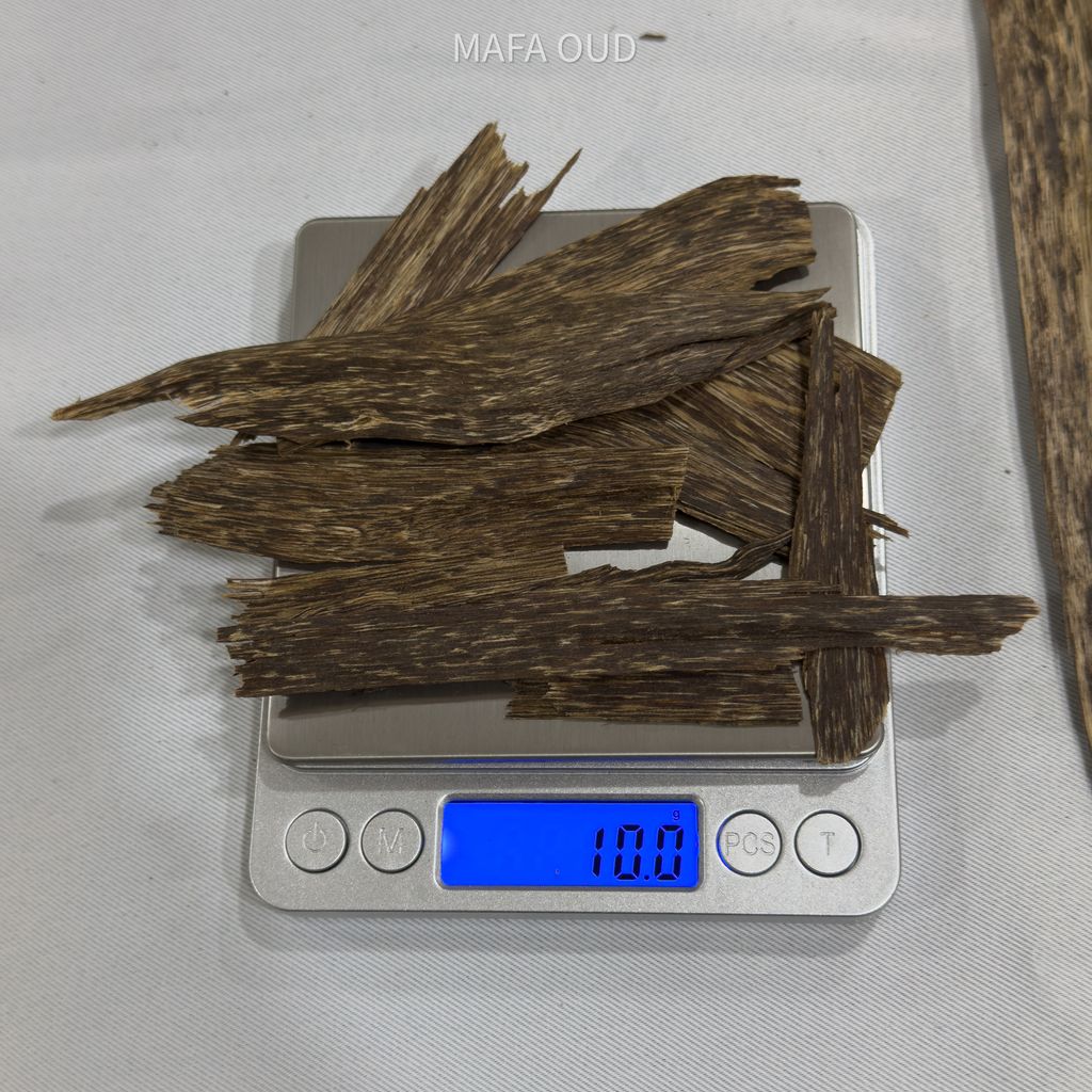 image_C8512E19-BDE7-4CE2-971D-08C99EBE1435_1753945685