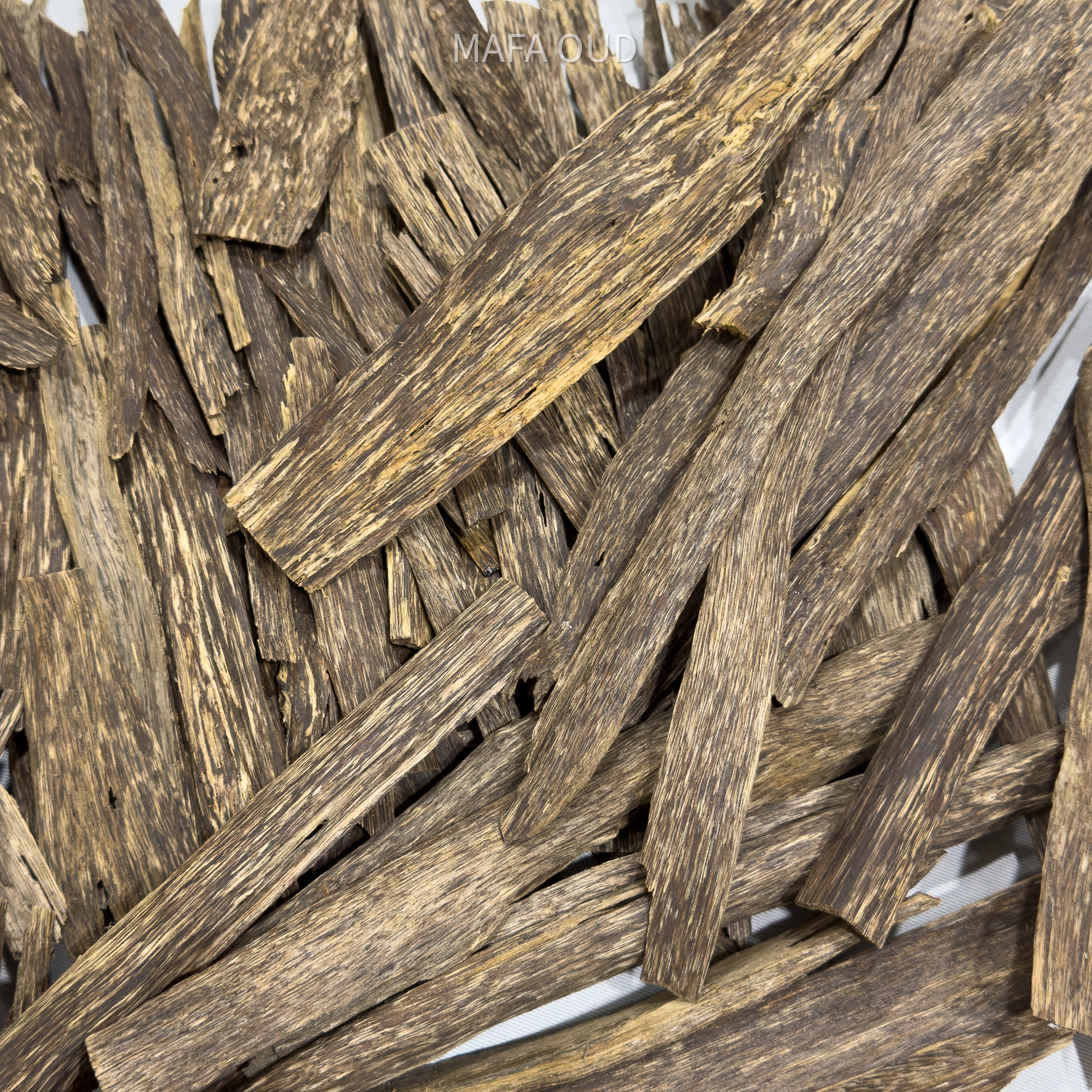 image_0DD9221D-0B43-4DAC-92F5-5A7B546EF8FA_1753945685