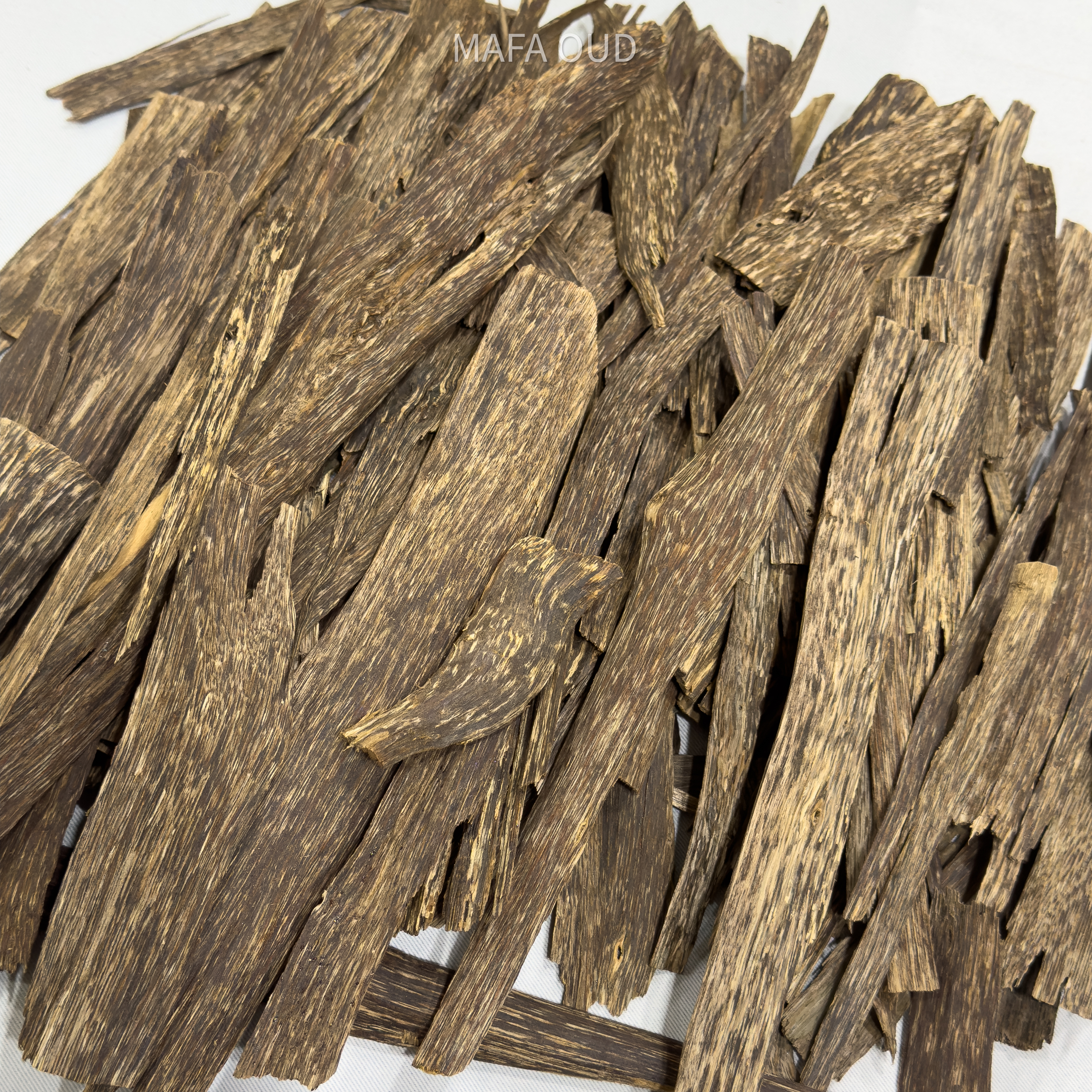 image_86A7419D-94AC-4A55-AA67-BDD37F0E44E1_1753945686