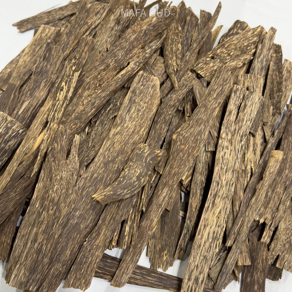 image_86A7419D-94AC-4A55-AA67-BDD37F0E44E1_1753945686