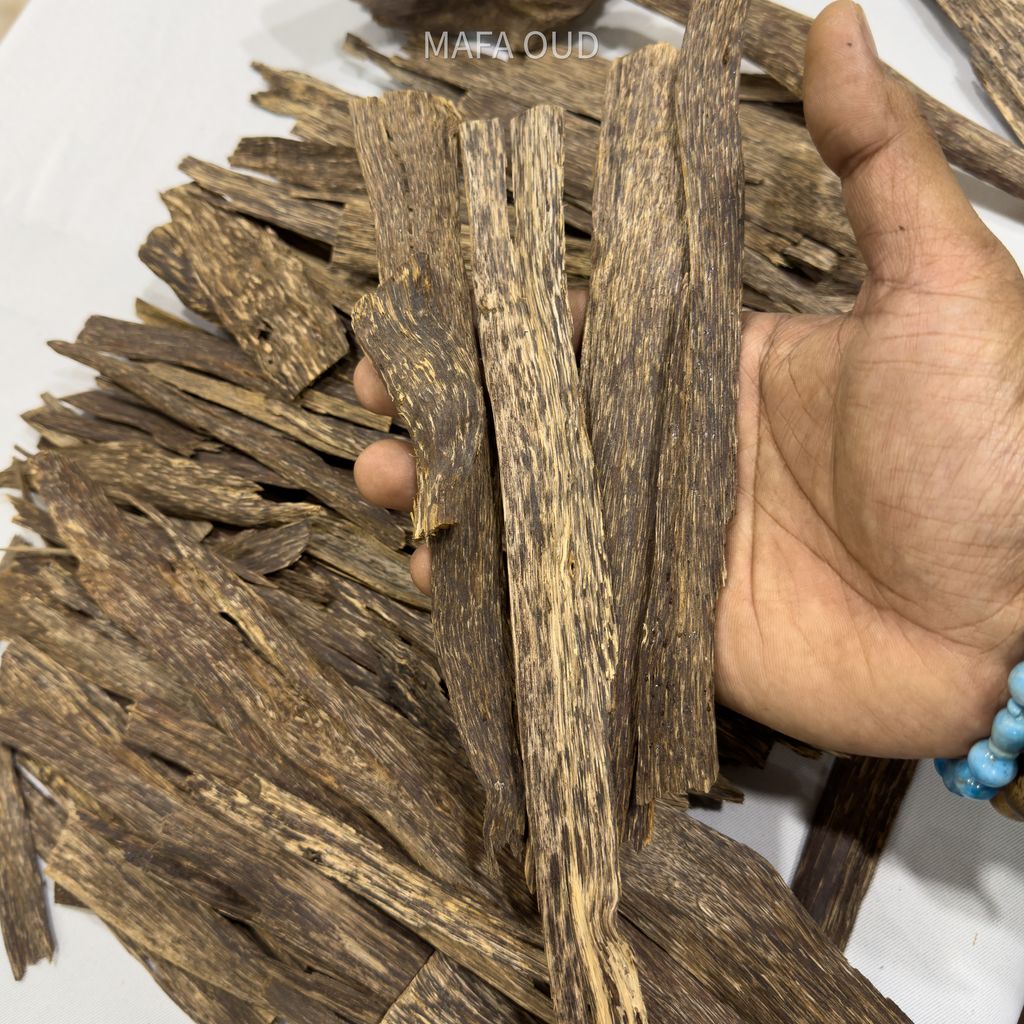 image_B679FB4E-1C53-474A-9C9B-85AB3E4E314C_1753945686