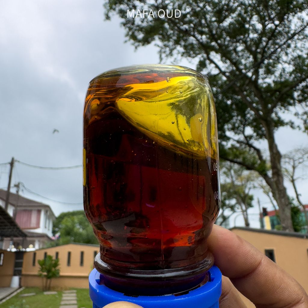 image_AA6C0F05-CC87-421D-A69B-8BAD4BB484DD_1756957643