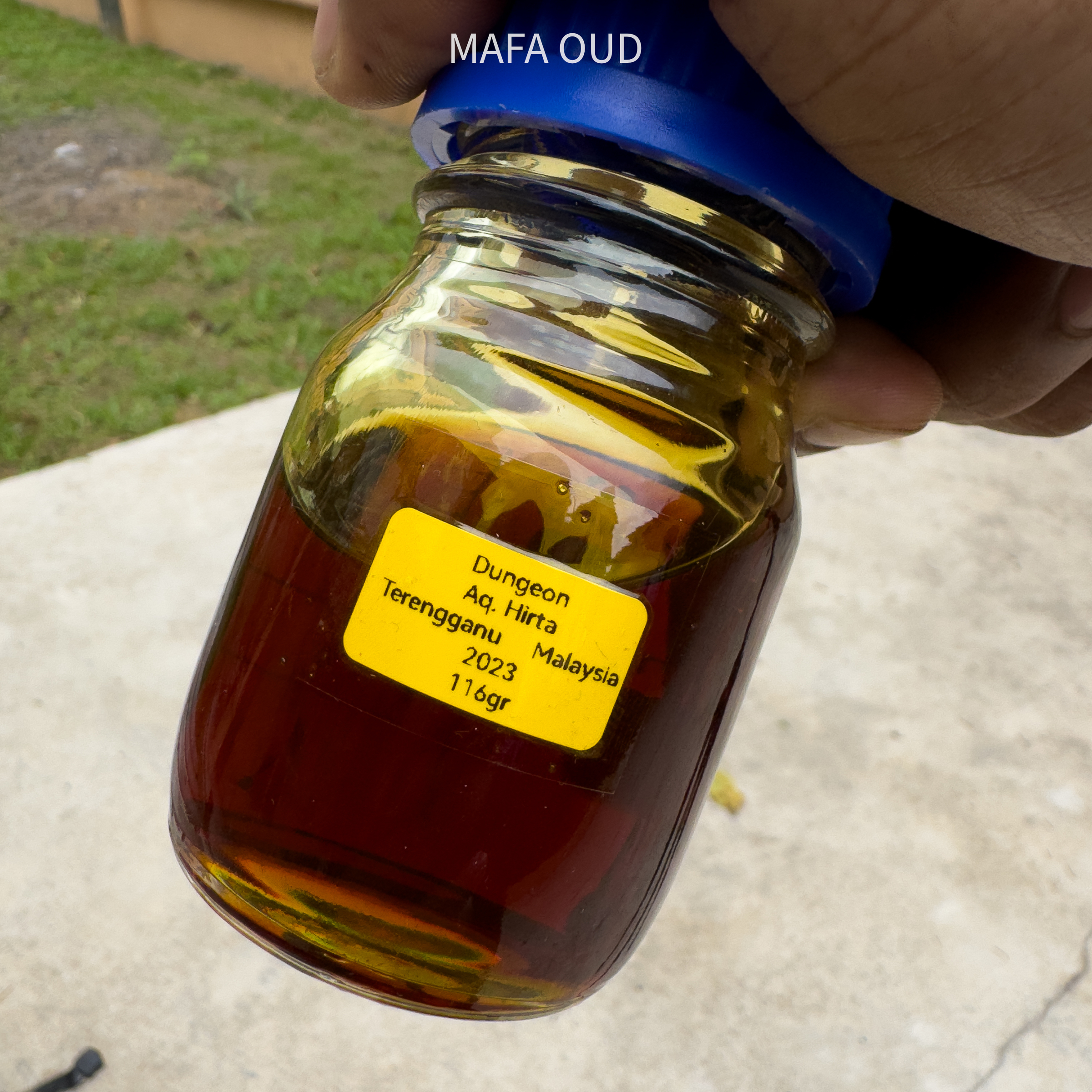 image_5BF707BC-49D8-4ED0-BA78-A8FB83185C7A_1756957643