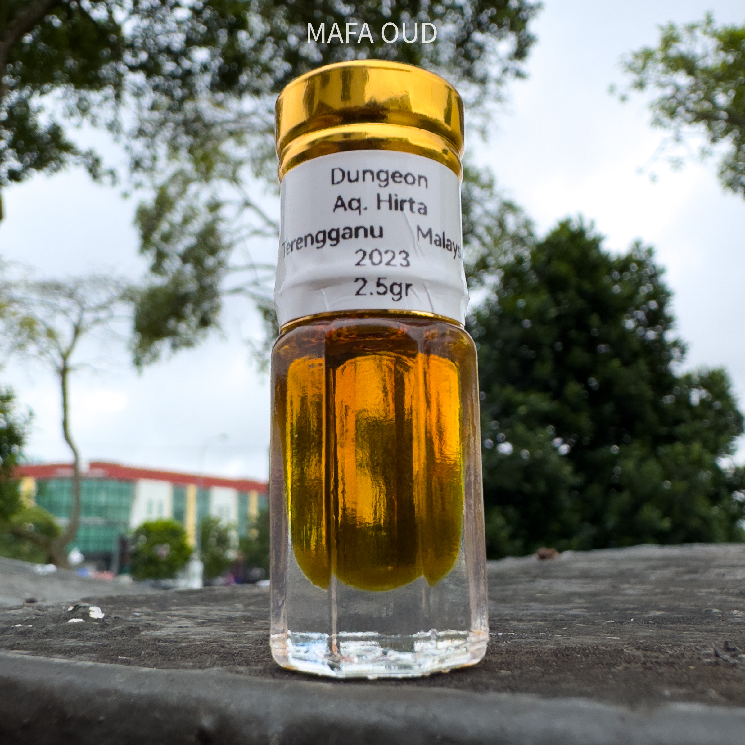 image_8E722346-25CC-44B4-BBDD-F52847B303E9_1756957643