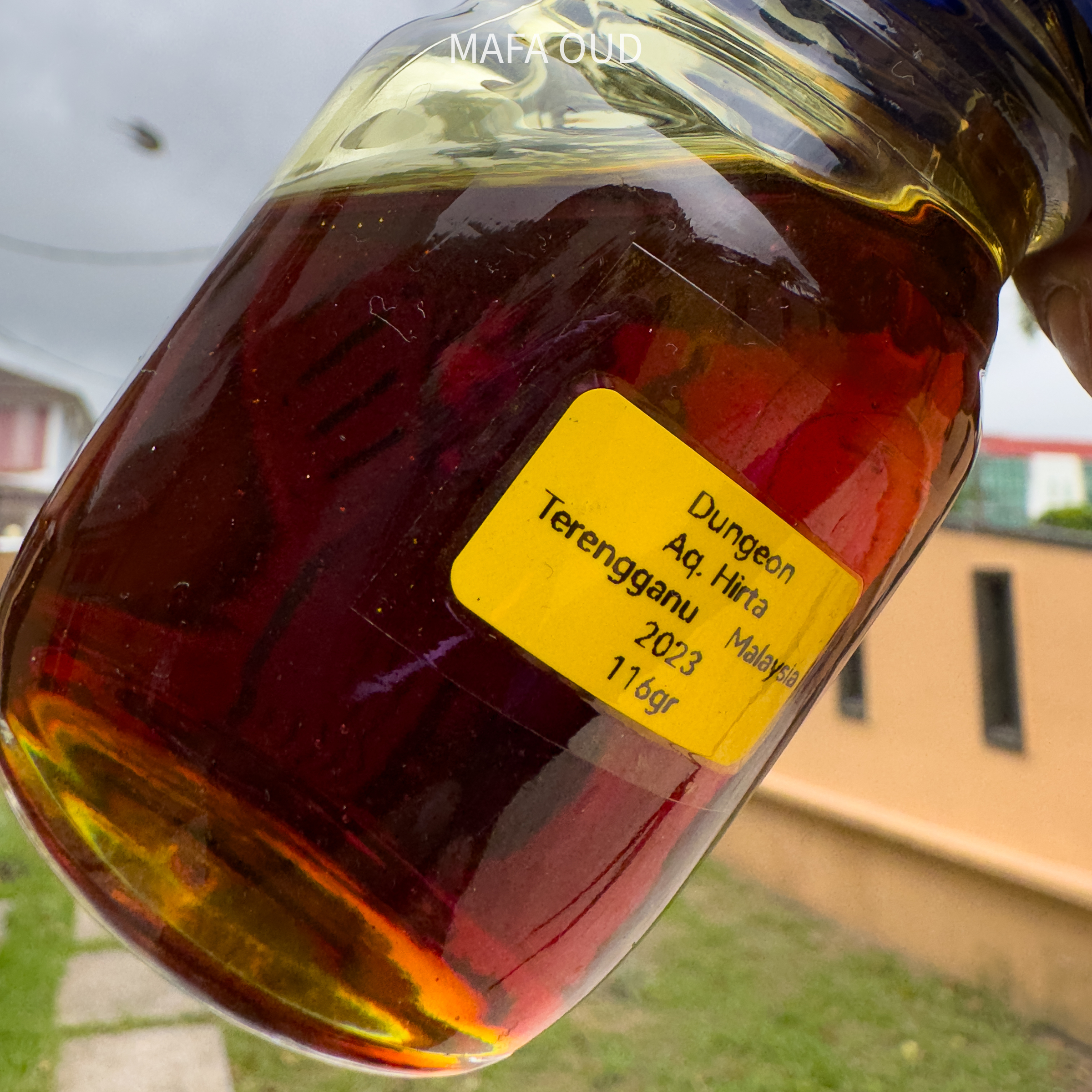 image_826ADA12-8D25-4689-A8CC-2F318337CBA4_1756957643