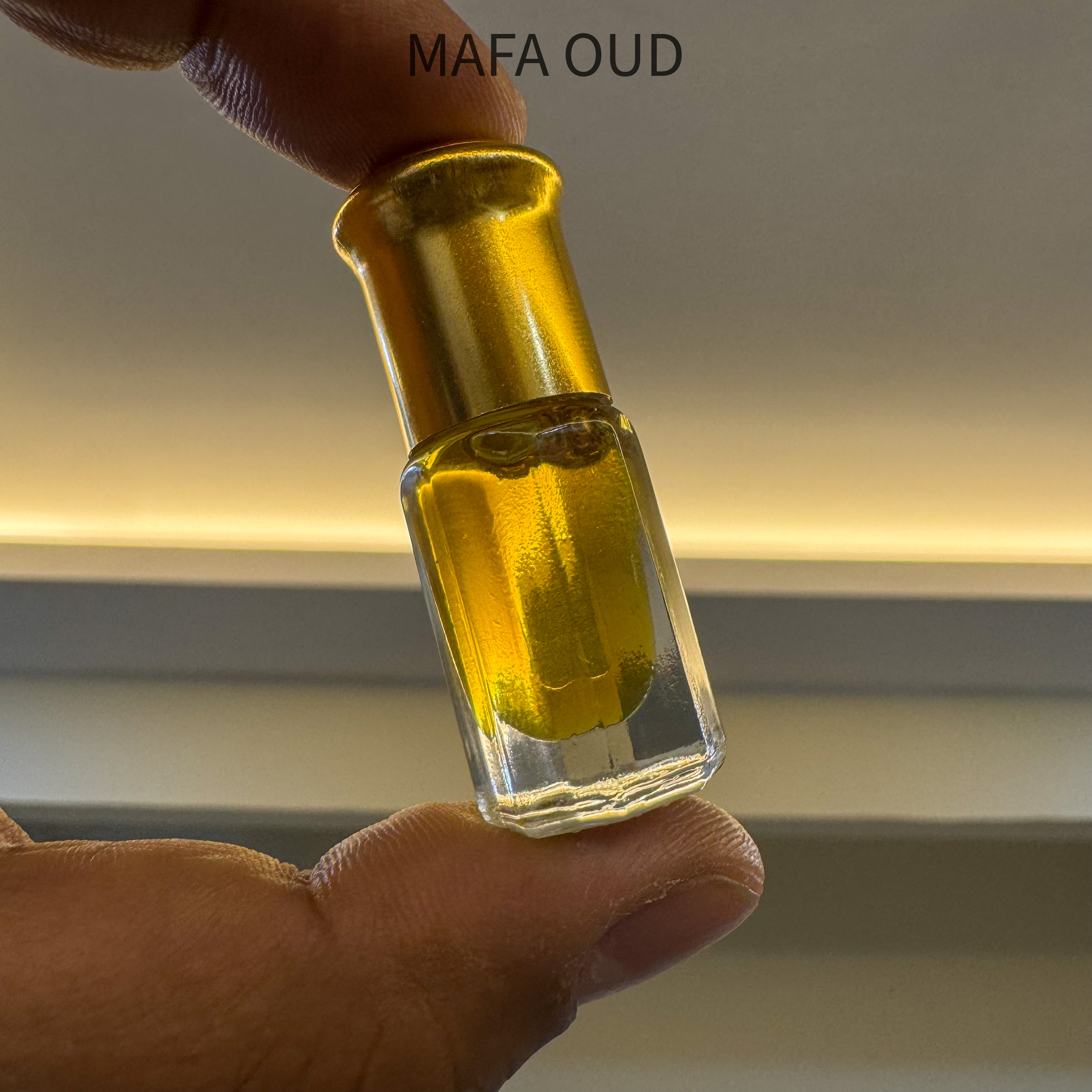 image_1379B98A-2D9C-49BE-AF1F-C901E32F7434_1763018789