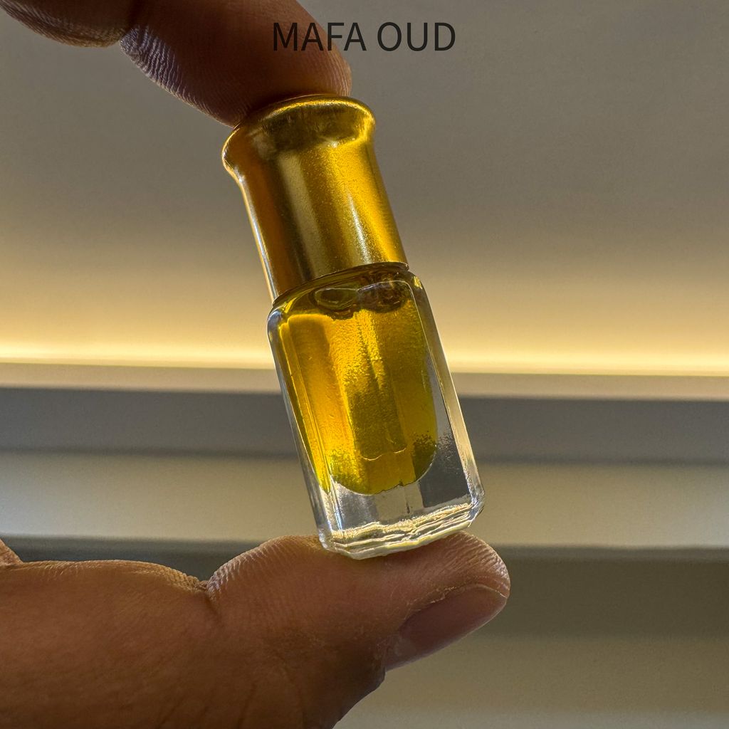 image_1379B98A-2D9C-49BE-AF1F-C901E32F7434_1763018789