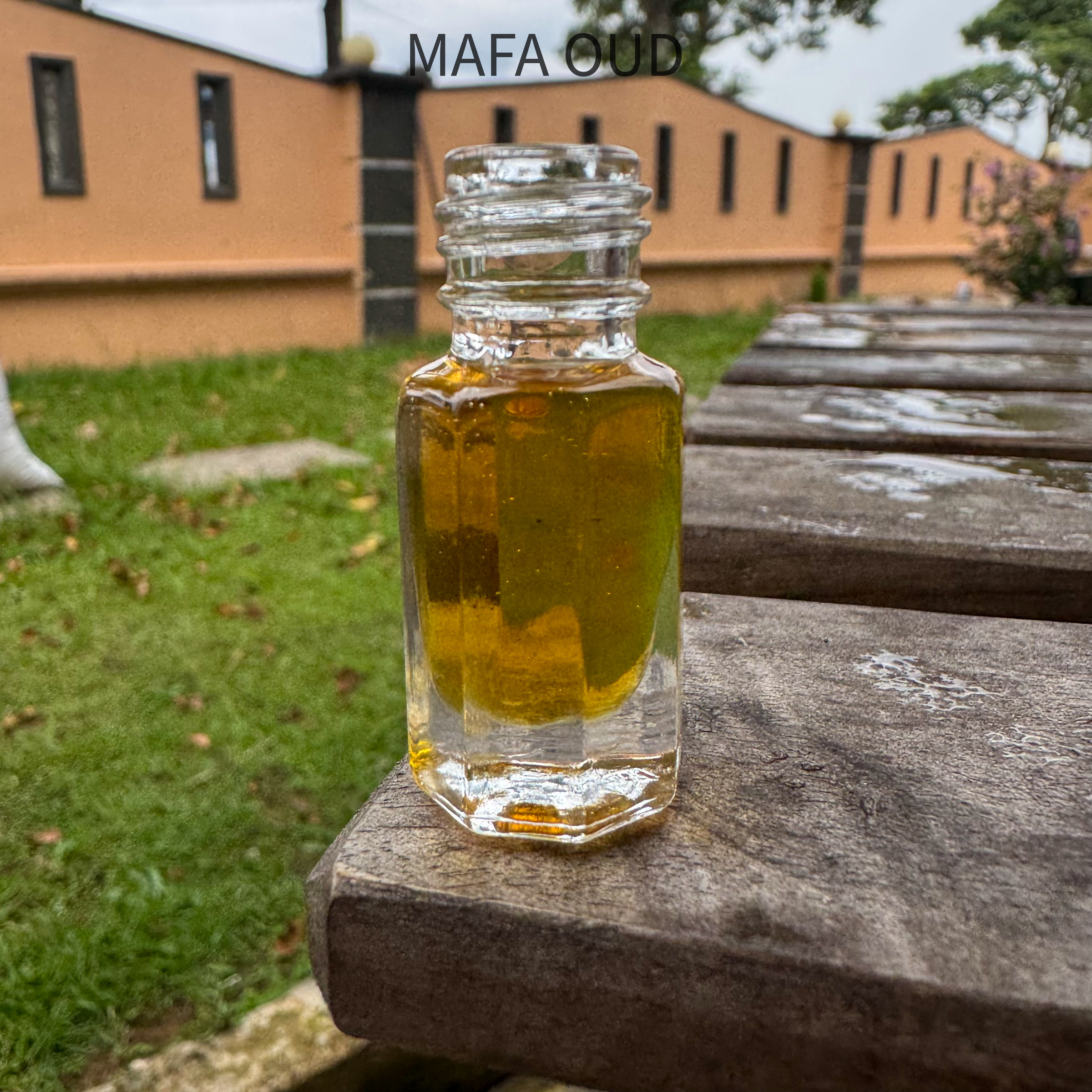 image_3FE79BB8-3204-4A83-BC2C-E3761CFDAE76_1763018789