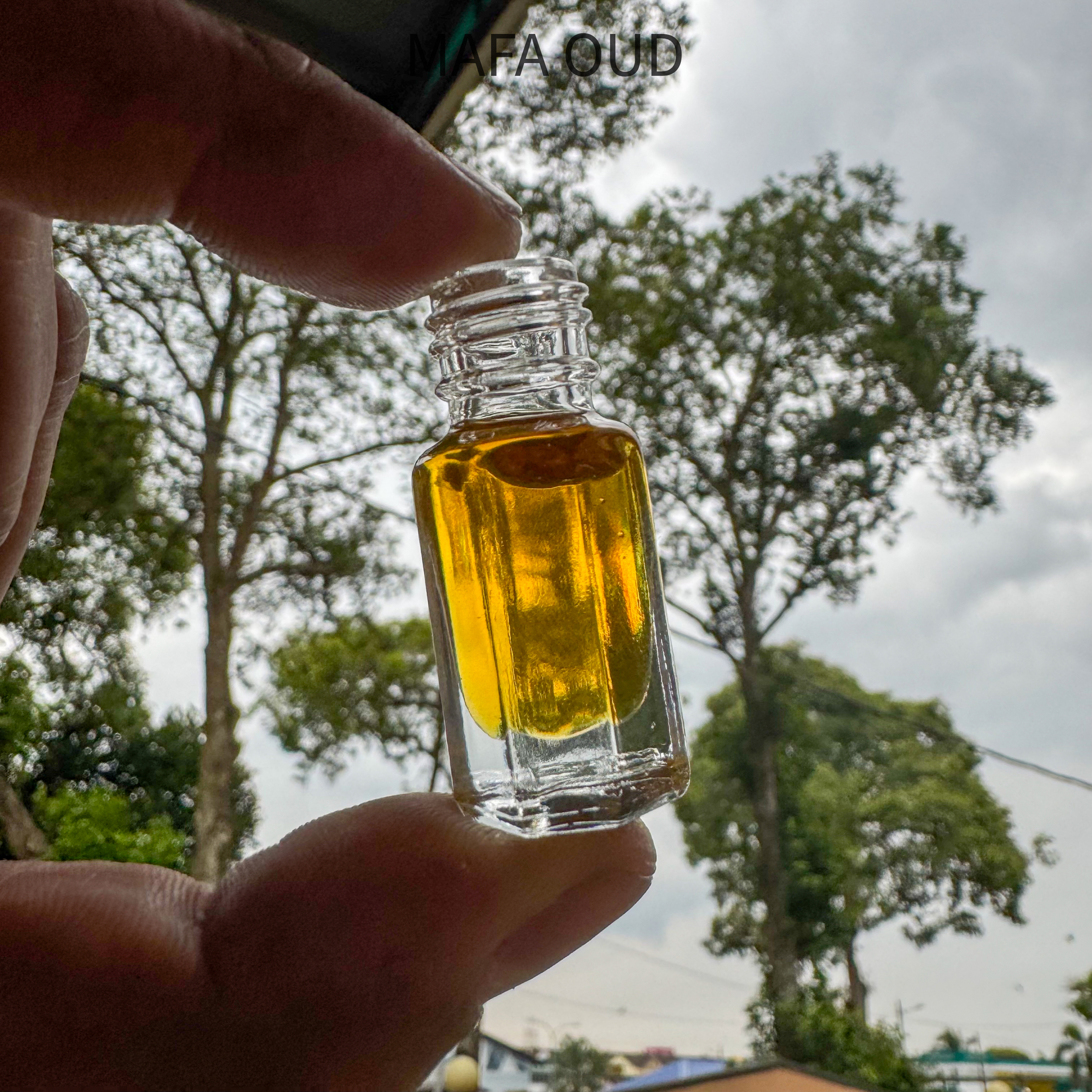 image_2875157C-A8A7-4BCD-B235-2BFA692B4AEF_1763018789