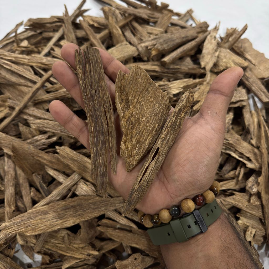 image_020C88F3-A200-4AED-8F49-E98F2B0EAC02_1764430402