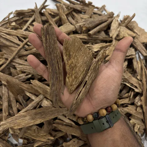 image_020C88F3-A200-4AED-8F49-E98F2B0EAC02_1764430402