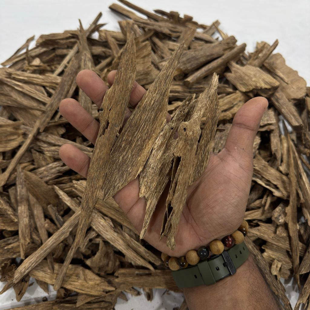 image_4DFF9399-EC9D-48C7-A719-67FC2864500C_1764430402