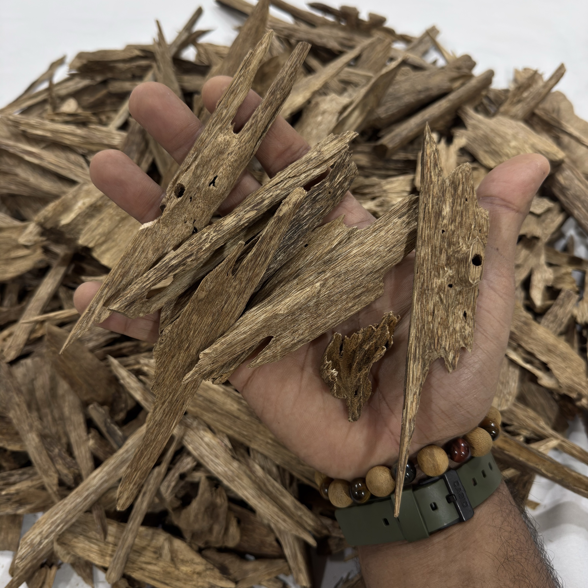 image_1ABF822C-151F-46FF-8B00-9BDC4428CAD7_1764430402