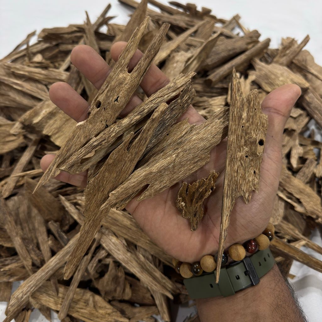 image_1ABF822C-151F-46FF-8B00-9BDC4428CAD7_1764430402