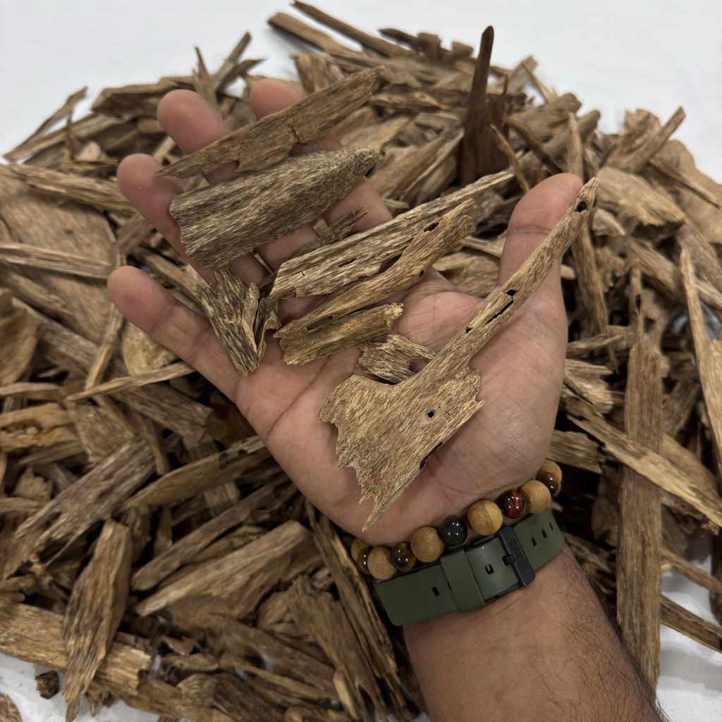 image_272BA1AA-B6B8-4395-8D11-55EAA0EB2CA9_1764430402