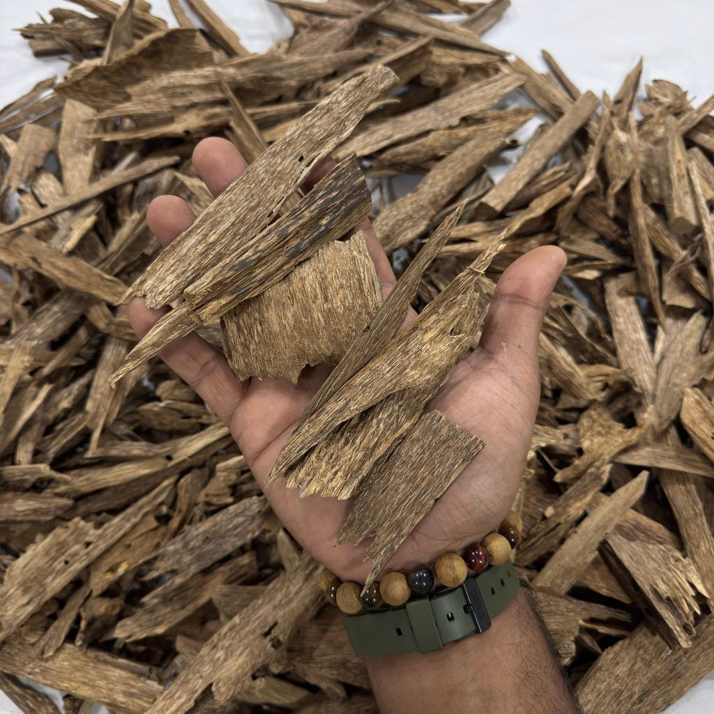 image_49B34842-F4D4-4EAE-B7D7-8EF1642E5F85_1764430403