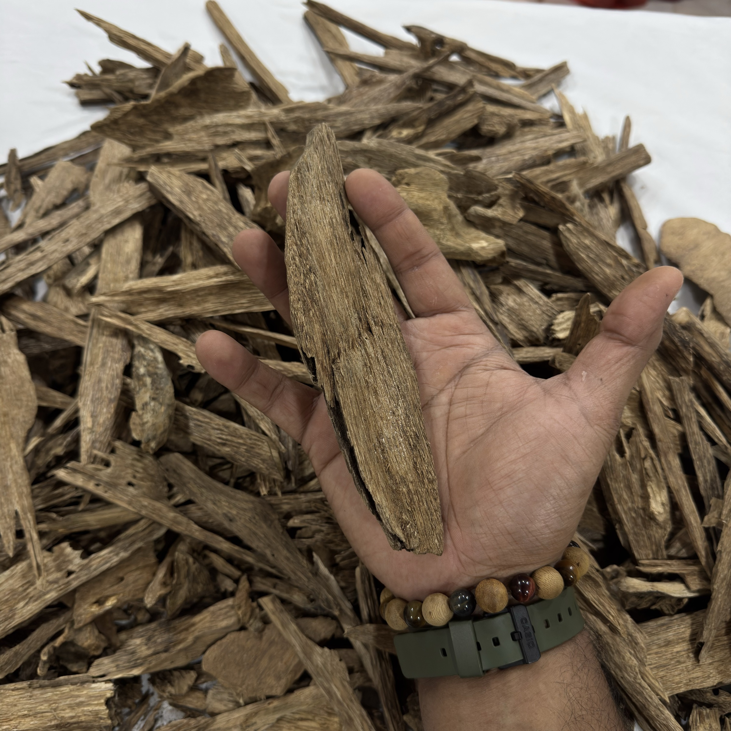 image_E6627AF9-2AE5-4178-8BCB-CCEEDB9F1540_1764430403