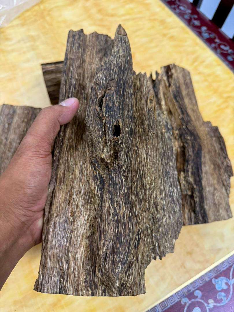 image_17F42503-1F4C-4781-BE47-221209649804_1768286427