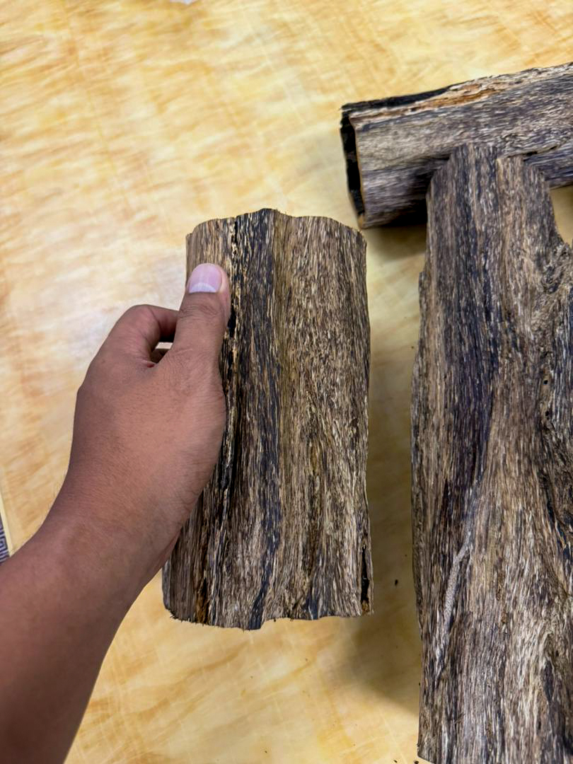 image_5316F5C1-DBFE-4745-BBD8-CD292EA514B7_1768286427