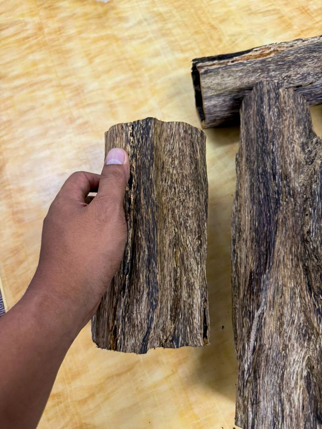 image_5316F5C1-DBFE-4745-BBD8-CD292EA514B7_1768286427