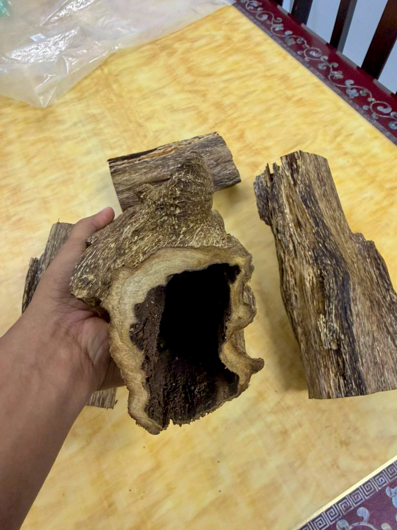 image_35216D76-C12C-4068-BB17-1AF6480CE9EF_1768286427