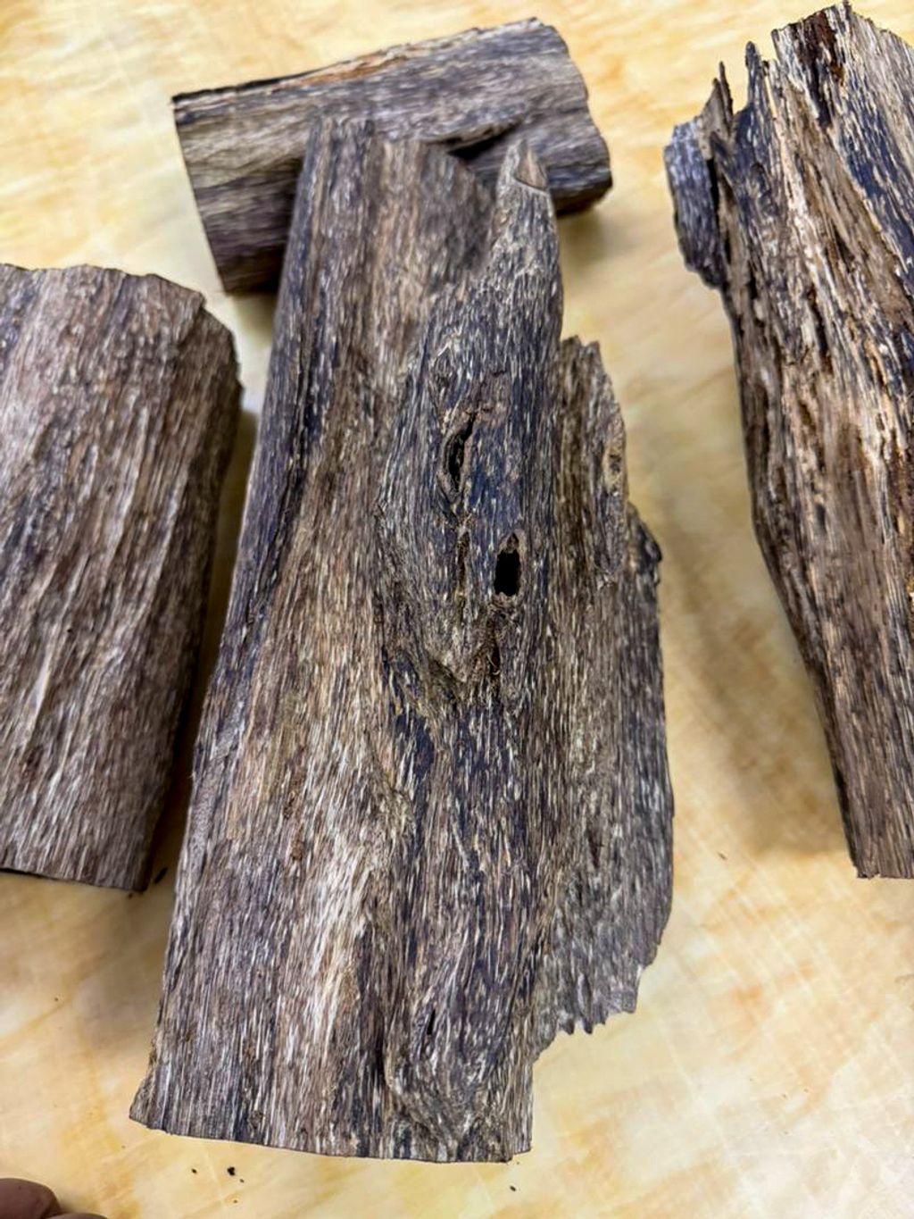 image_B31B6E68-5B8D-404E-A932-77662C9032B2_1768286427