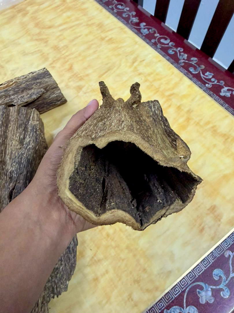 image_3AB1F2CF-A11F-4384-8FBB-66C0FD60F256_1768286427