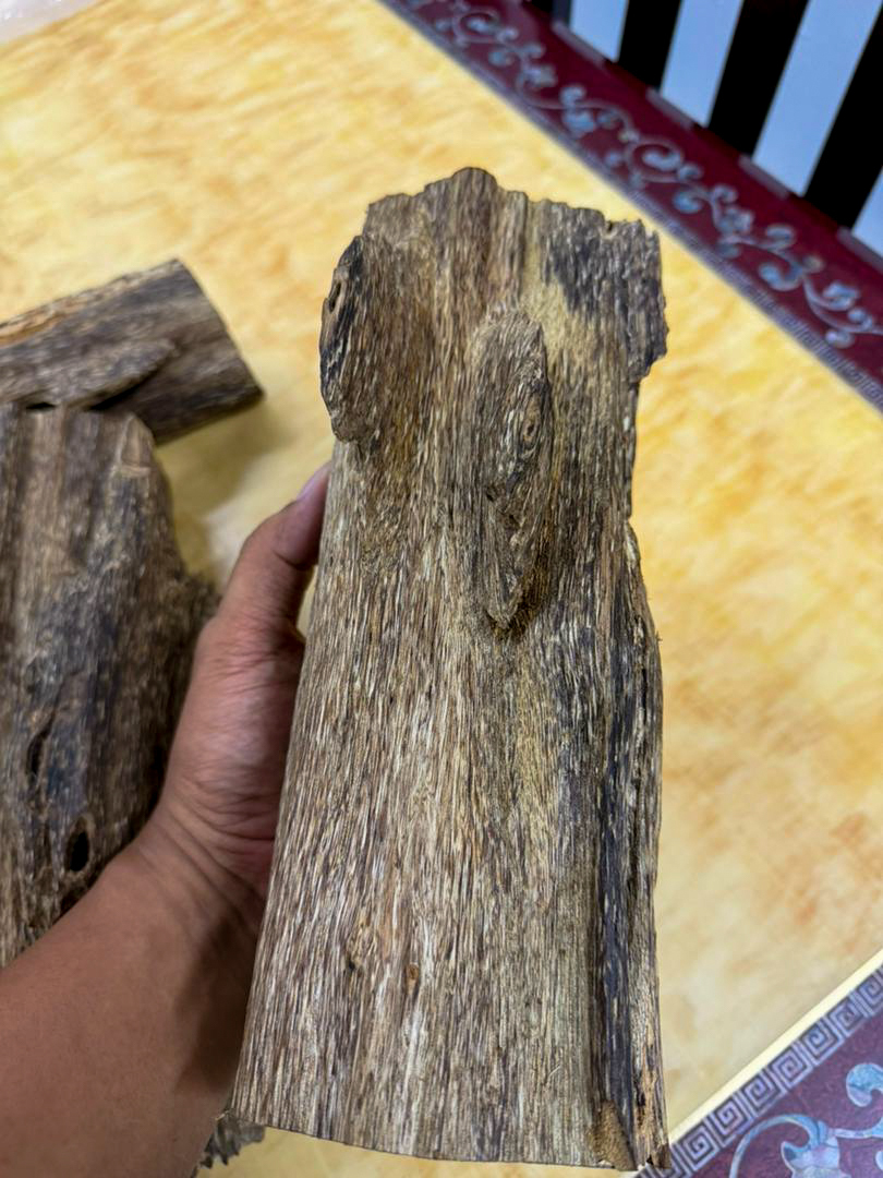 image_02F2F86E-FB12-40C9-879B-38C276E6CA87_1768286427