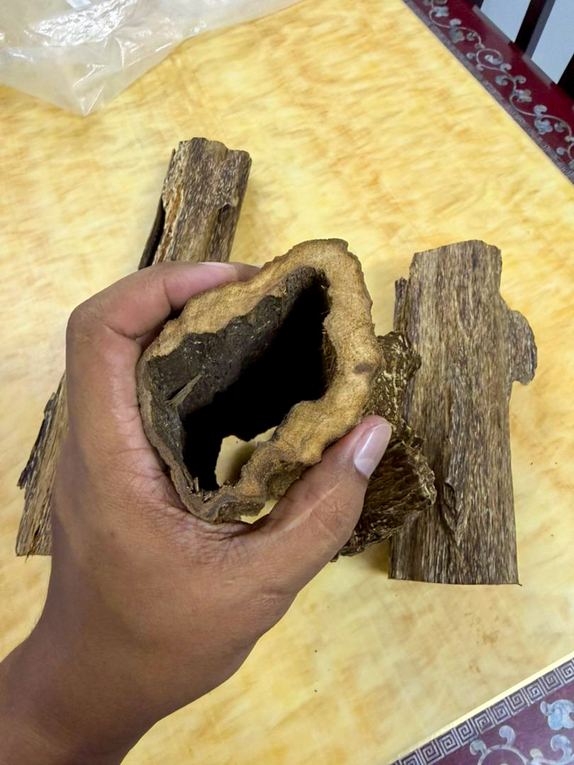 image_DF3B7F54-6294-4DBD-A2C9-0FBF3253264D_1768286427