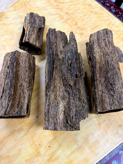 image_9EA9CA68-8804-42D2-9453-B3377F21FE97_1768286427