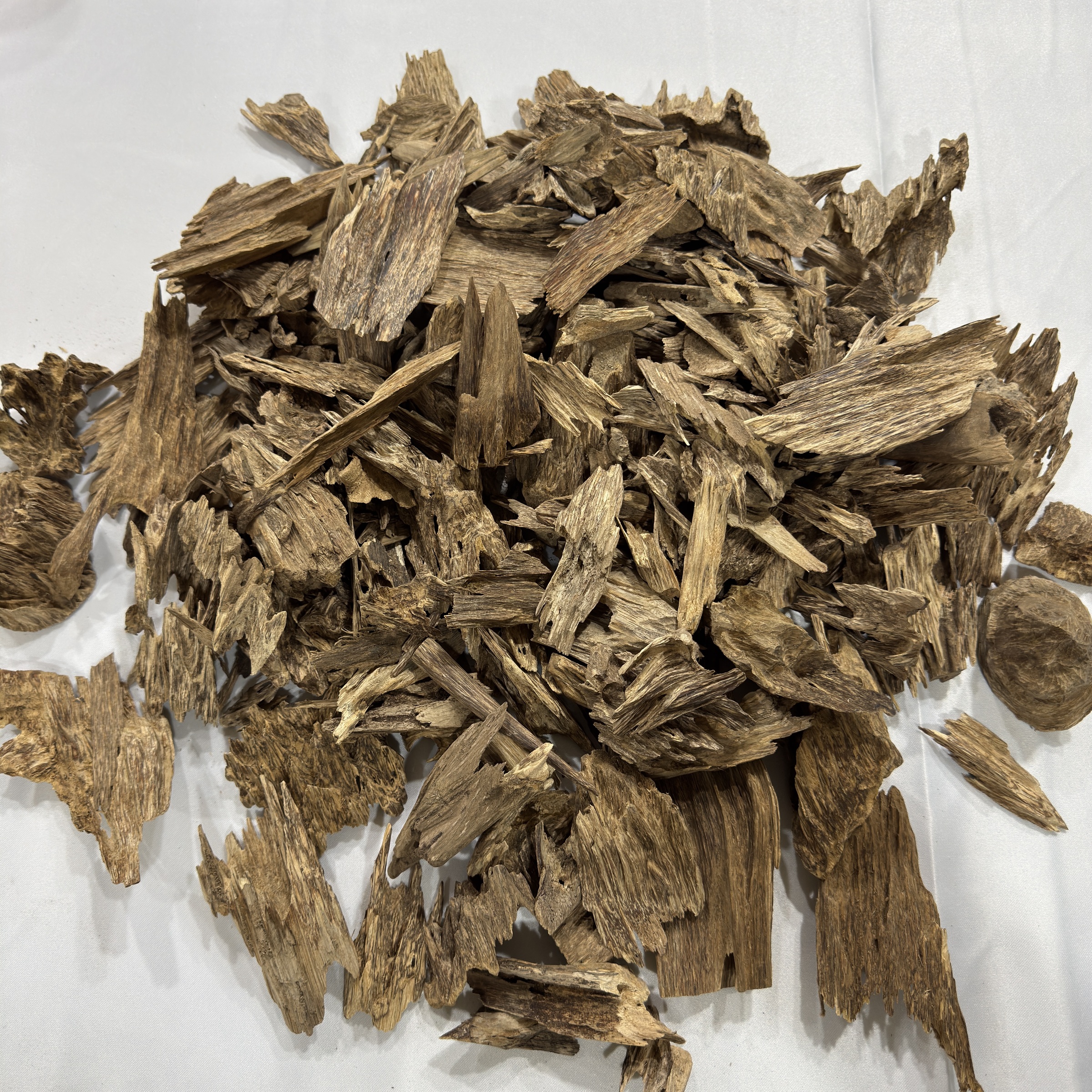 image_0657E9F6-0F67-4948-95FB-8A276E7C4490_1769178988