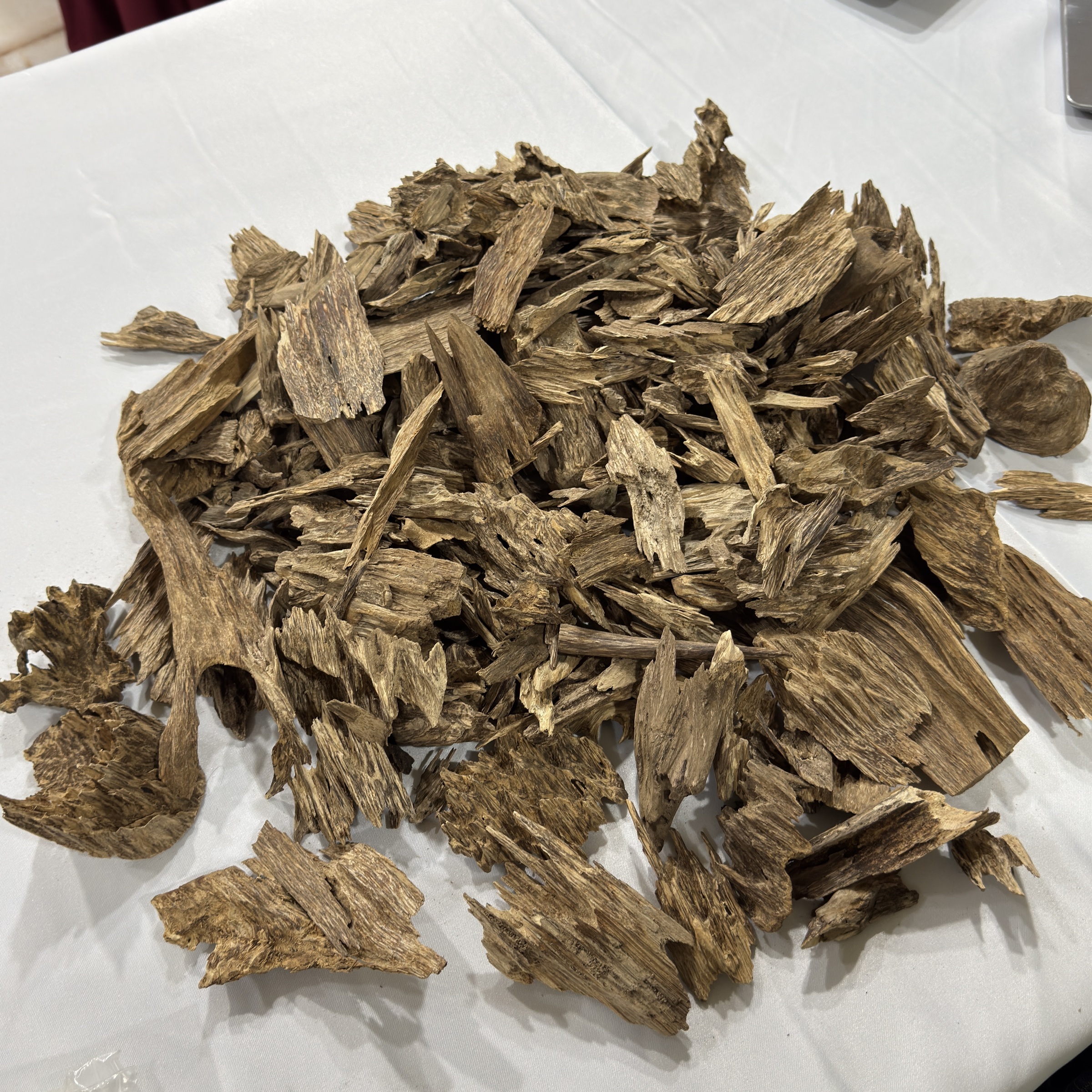 image_0299F581-4C06-4593-B8F0-AAB96C84311E_1769178988