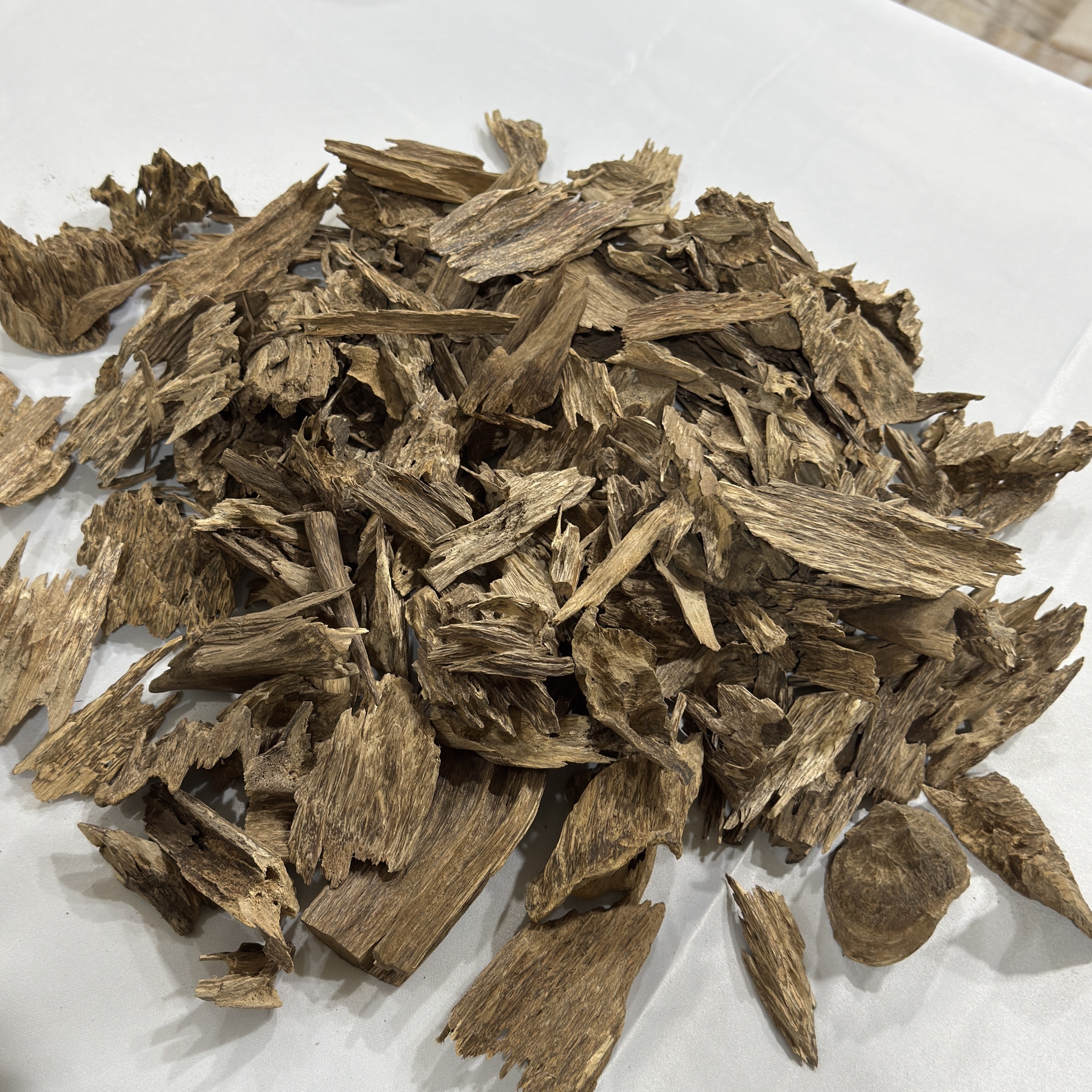 image_5867C4C3-E127-44C1-BB4F-FD5E66B91D3C_1769178988