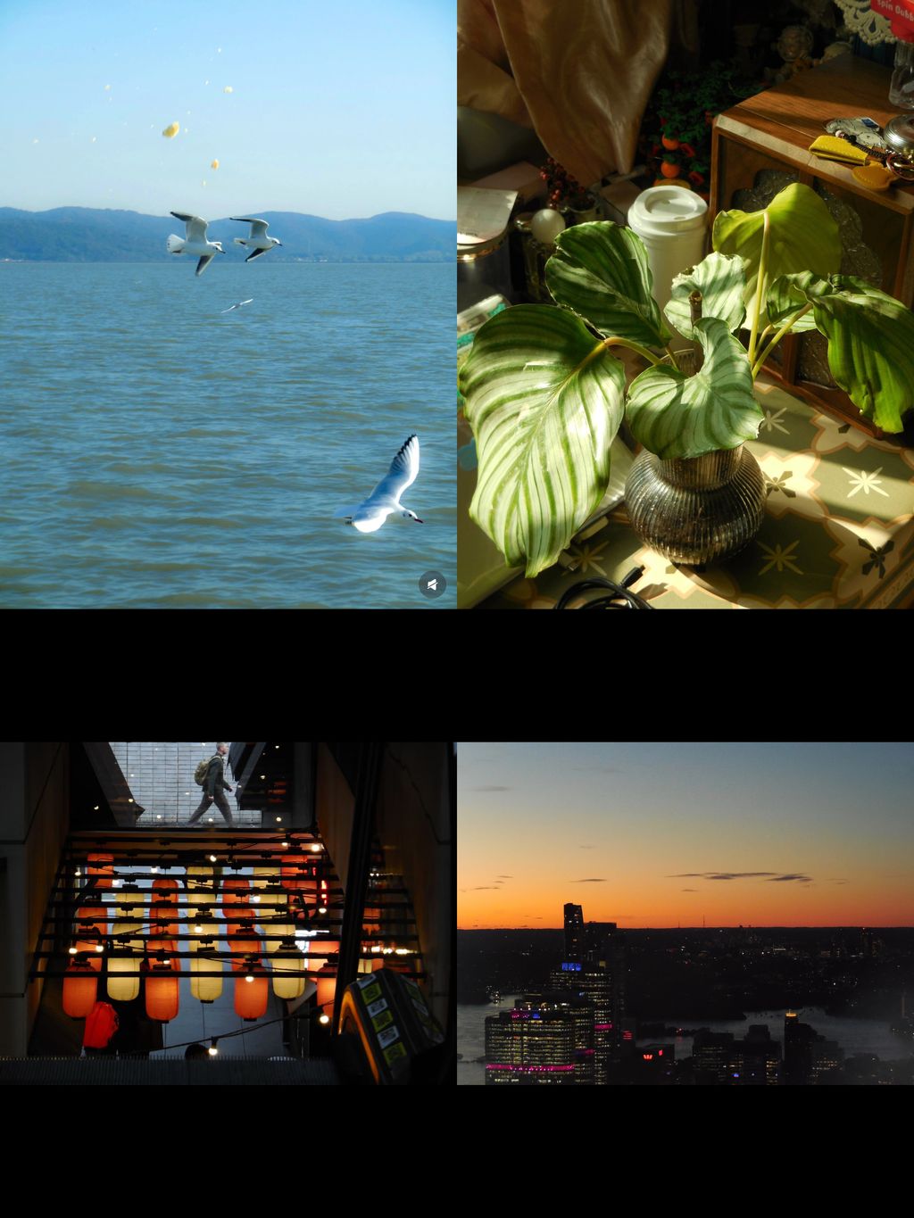 image_7C8E9221-A63E-4CE0-8358-C8DF976DDC8B_1772531573