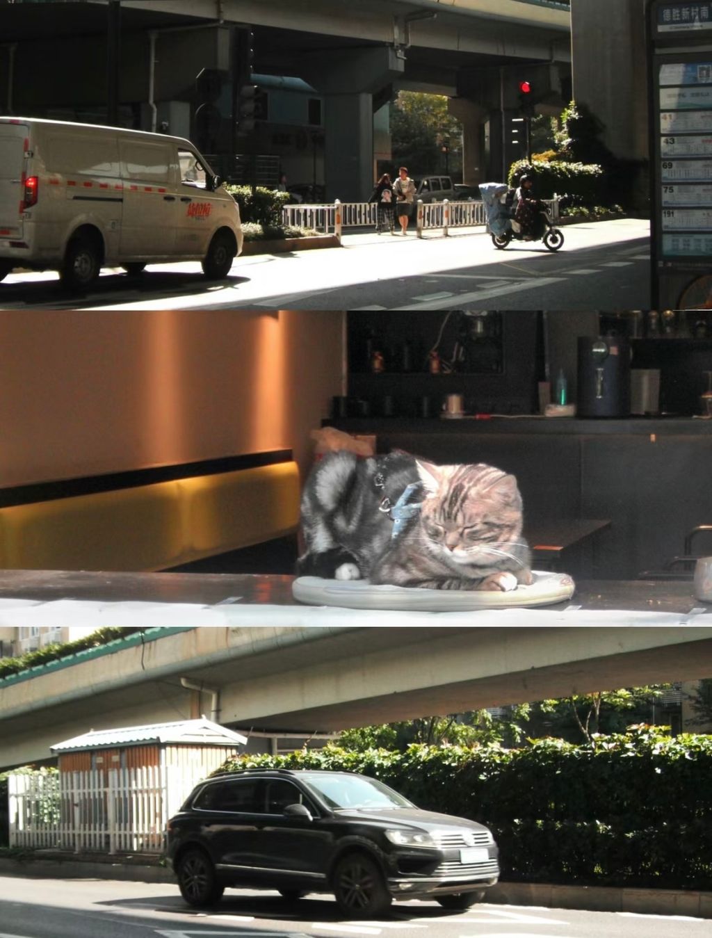 IMG_1109-1716463937462