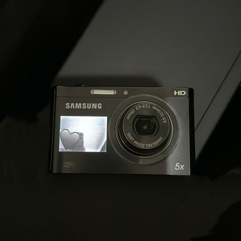 IMG_1850-1717600368585