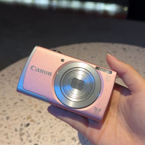 IMG_3369-1718456864561