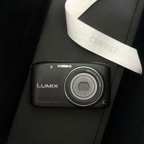 IMG_4647-1719564254106