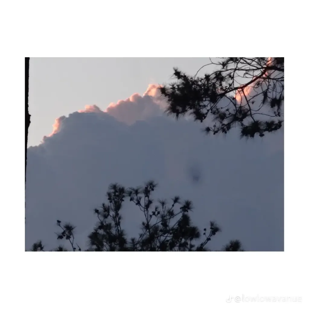 IMG_6976-1721019513009