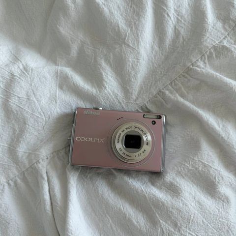 IMG_7298-1721124624654