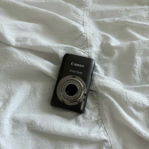 IMG_8085-1721465457086