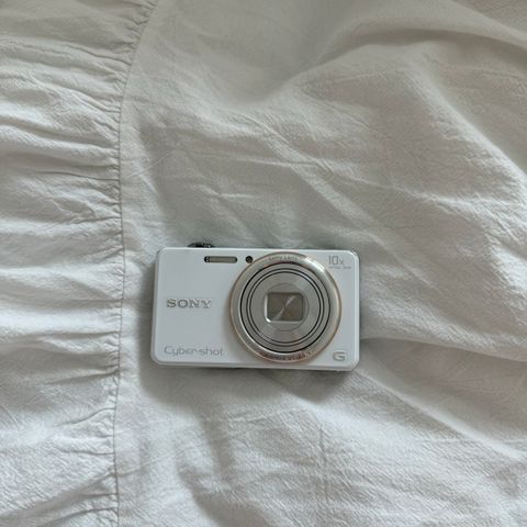 IMG_8254-1721555920717