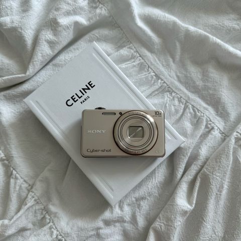 IMG_9566-1722234571904