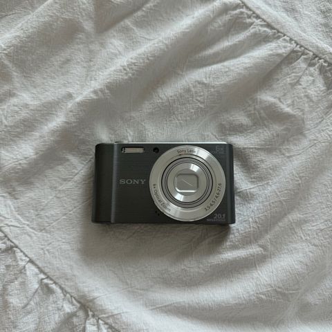 IMG_0361-1722749711924